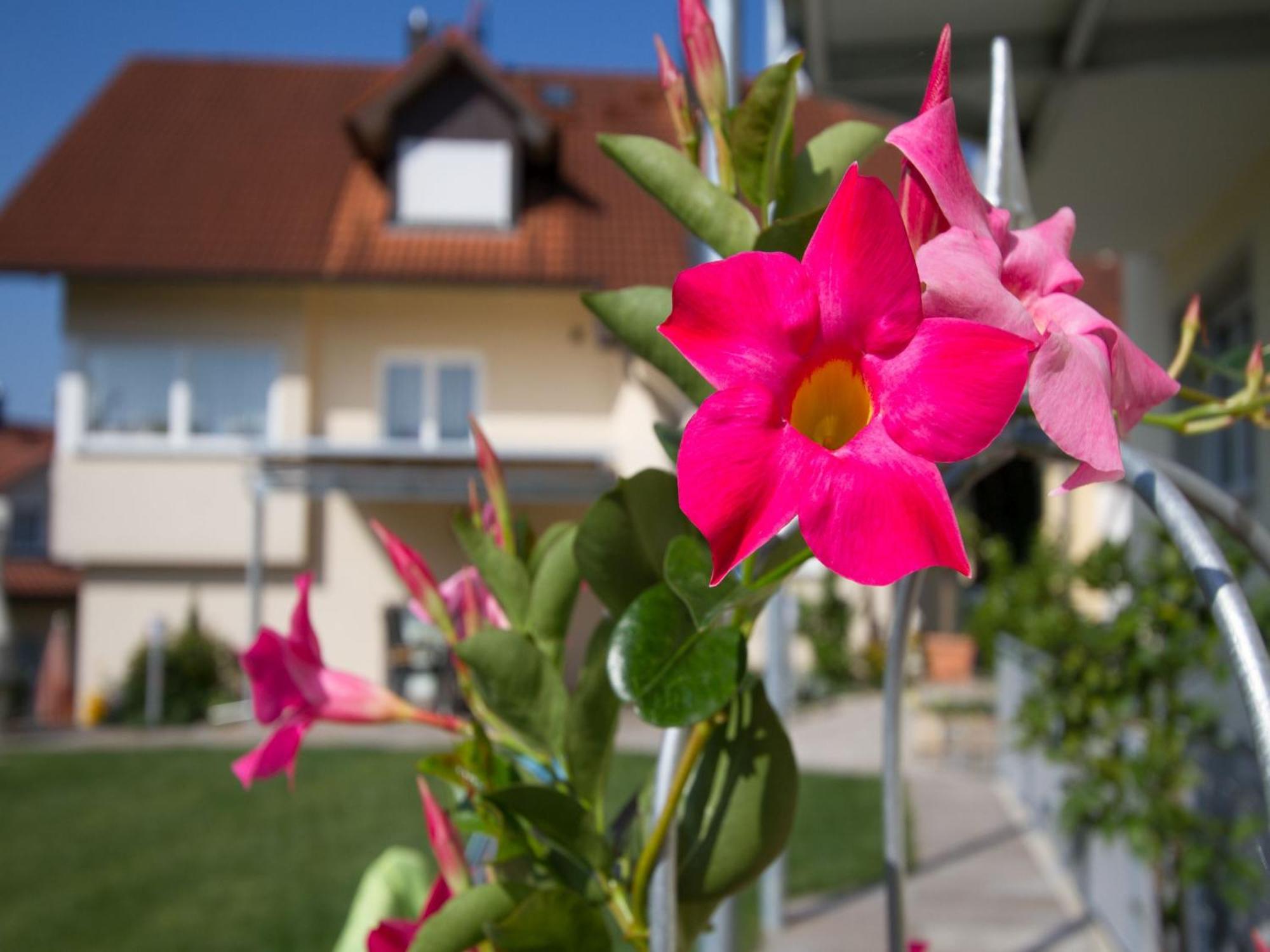 Obst- Und Ferienhof Witzigmann Wasserburg Luaran gambar